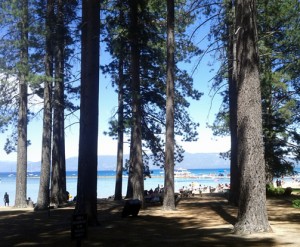 Lake Tahoe Seen Through Trees 2012